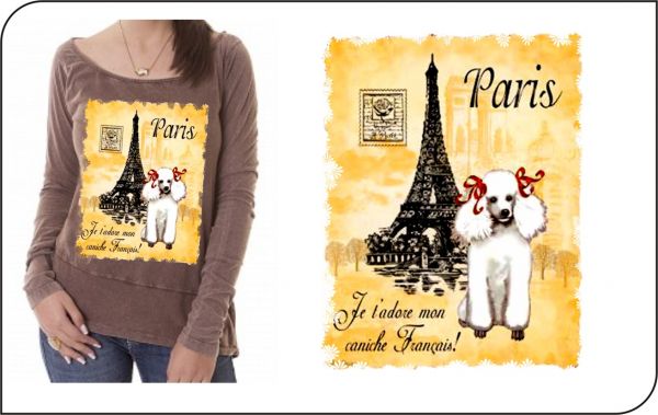 DESENHO PARIS - POLICROMIA OU SUBLIMAÇÃO